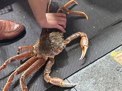 -大东海海鲜酒楼(渔人码头总店)