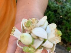 -老鼓楼麻辣烫夹馍