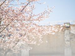 -龙美术馆(西岸馆)