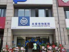 -关爱宠物医院·猫科中心·消化科(滨湖万达分院)