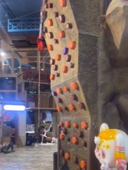 -卡通尼·Safari非洲探索乐园·生日会(金桥国际商业广场店)