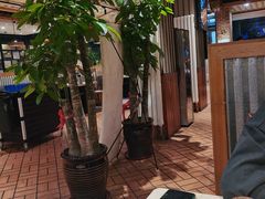 -金太阳海鲜烧烤·本地人餐厅(星海公园店)