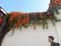 -永和鱼丸(南后街店)