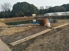 -胜丰草莓采摘园