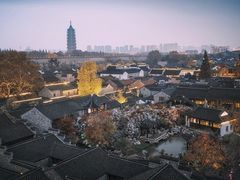 -芥子园
