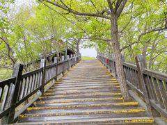 -狼牙山风景区