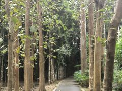 -中国科学院西双版纳热带植物园