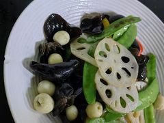 -道南書院·私房菜·早午茶·茶馆