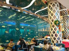 大堂-瑞德姆美人鱼海底演艺主题餐厅(亚龙湾店)