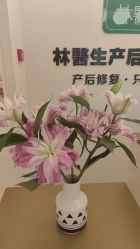 -Dr.林醫生产后修复·超级店(南京江宁同曦店)