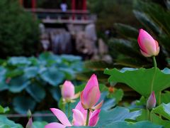 -国家植物园南园