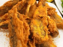 -老保定驴肉馆(云岗路店)