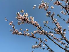 -苏州湾体育公园