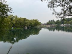 -百脉泉景区