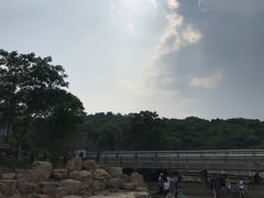 -巢湖姥山岛
