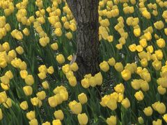 -长春公园(普阳街道)