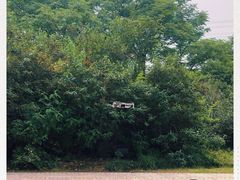 -九里河湿地公园