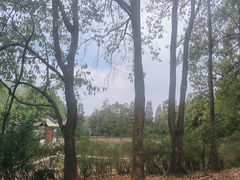 -昆明市金殿名胜区