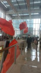 -Petit Bateau(静安嘉里中心店)