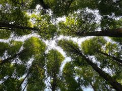 -山王坪喀斯特国家生态公园