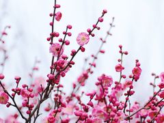 -范蠡湖公园