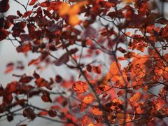 -沕沕水生态风景区