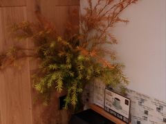 -Cafe del Volcan(永康路店)