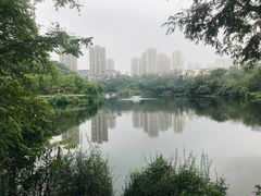 -重庆彩云湖湿地公园