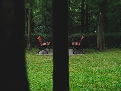 -荔香公园