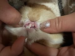 -雨林宠物医院 非犬猫异宠专科