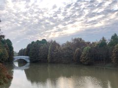 -上海海湾国家森林公园