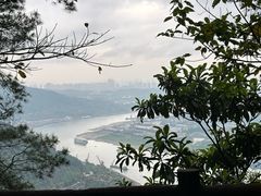 -铁山坪森林公园