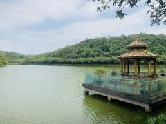 -李小龙乐园(顺德均安店)