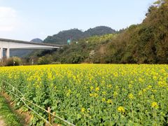 -贵阳市花溪国家城市湿地公园