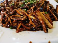 响油鳝丝-阿东农家菜(新场古镇下塘街店)