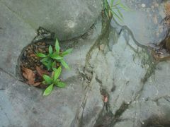 android_upload_pic-紫云谷景区