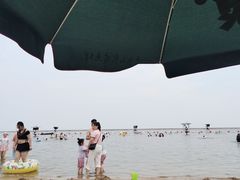 -碧海金沙