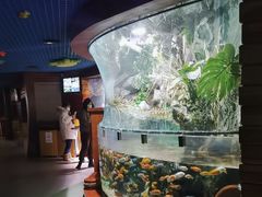 -太平洋海底世界