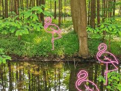 -桤木河湿地公园