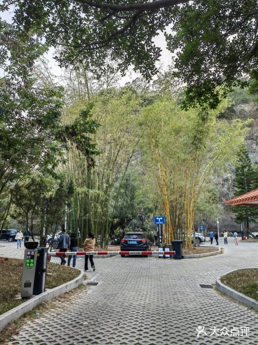 滨海公园图片