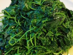 -阿英煲(凉城路店)