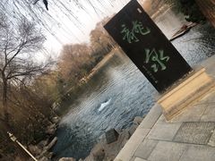 -百脉泉景区