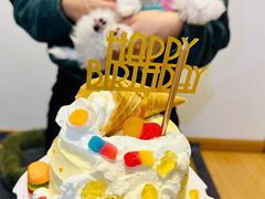 -翊宠yipet猫狗购宠庄园犬舍•猫舍