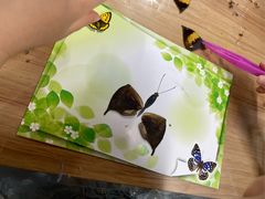 -上海昆虫博物馆