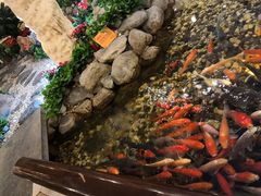 -顺峰(农展馆店)