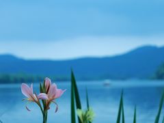 -浙江西子宾馆·瑶园咖啡厅