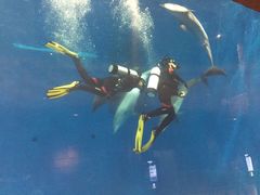 -华夏文旅海洋公园