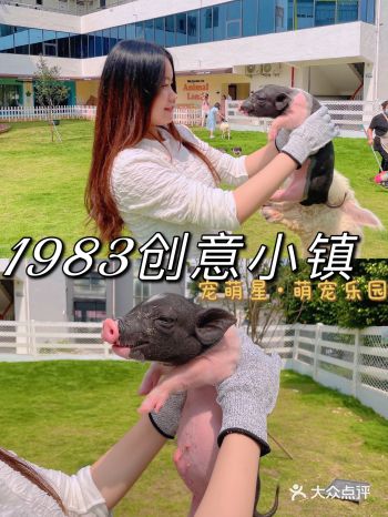 深圳探店|撸各种动物的宠萌星•萌宠乐园
