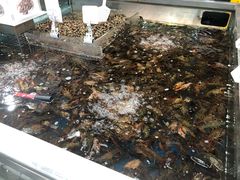 -盒马鲜生(大成店)