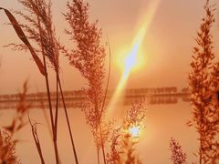 -野鸭湖国家湿地公园